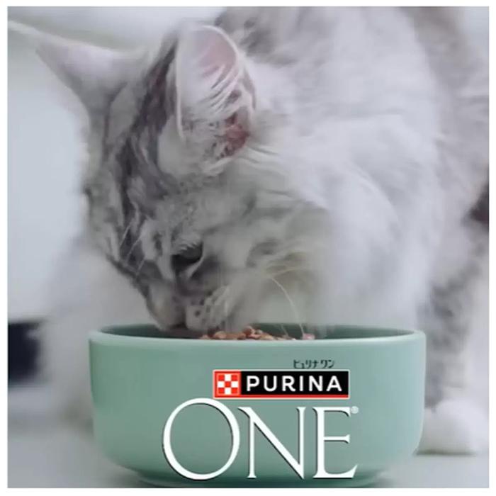PURINA ONE】ピュリナワンキャット ドライ 避妊・去勢した猫の体重ケア