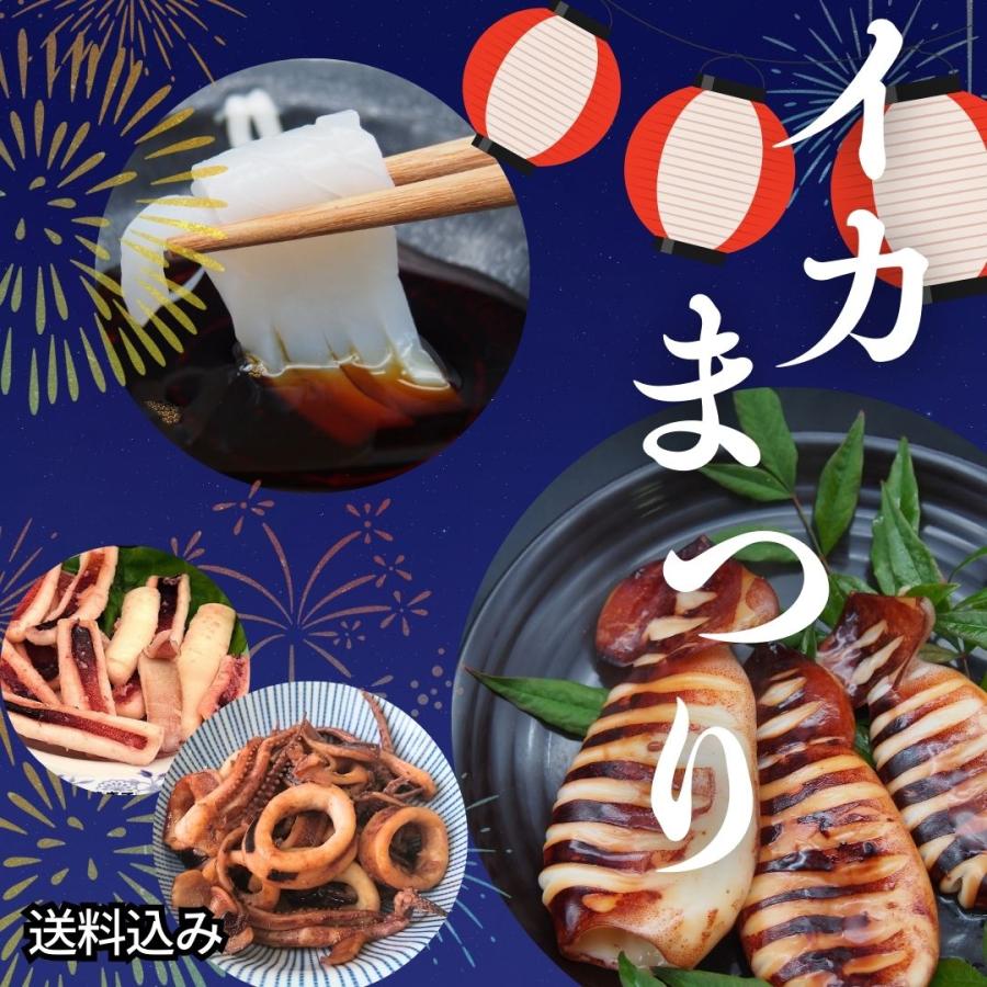 2025 プレゼント ギフト イカ 祭 海鮮 セット スルメイカ ヤリイカ