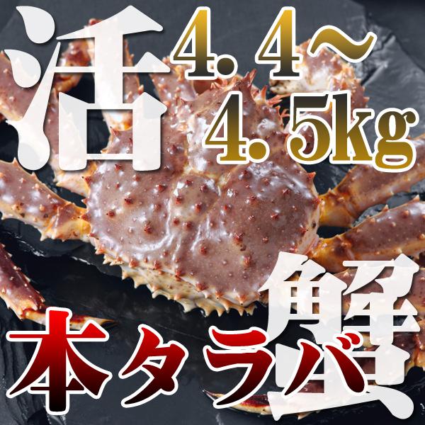 活たらば蟹　オス　4.5kg前後　1尾