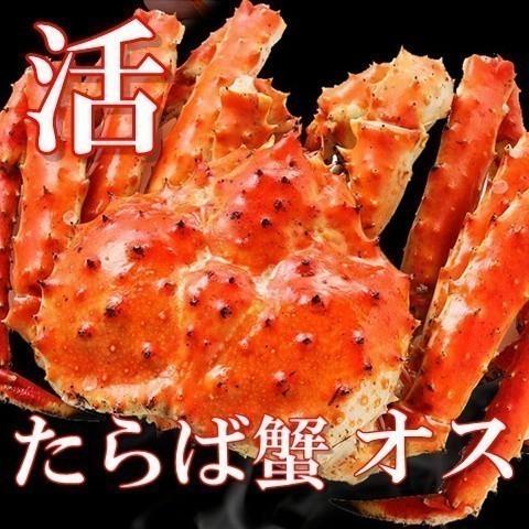 活たらば蟹　オス　4.5kg前後　1尾 