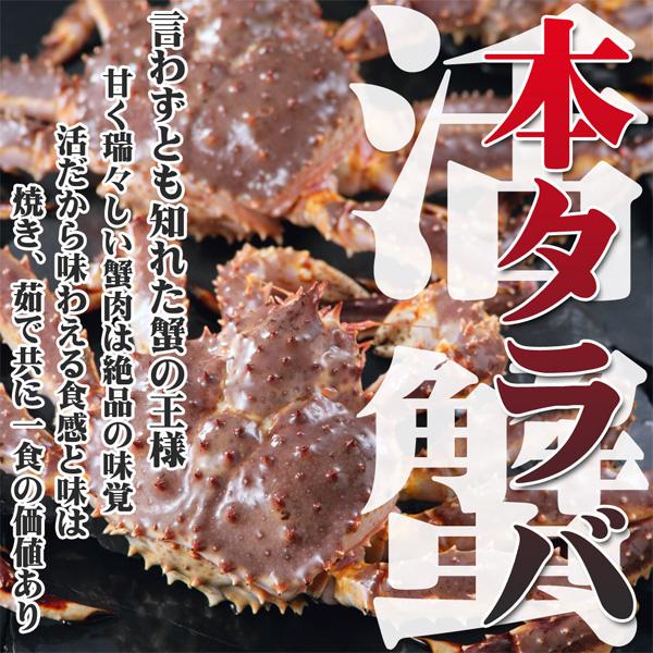 カニ かに 蟹 活タラバガニ 1尾 3.6〜3.7kg前後 北海道特産品 ギフト お歳暮 お中元