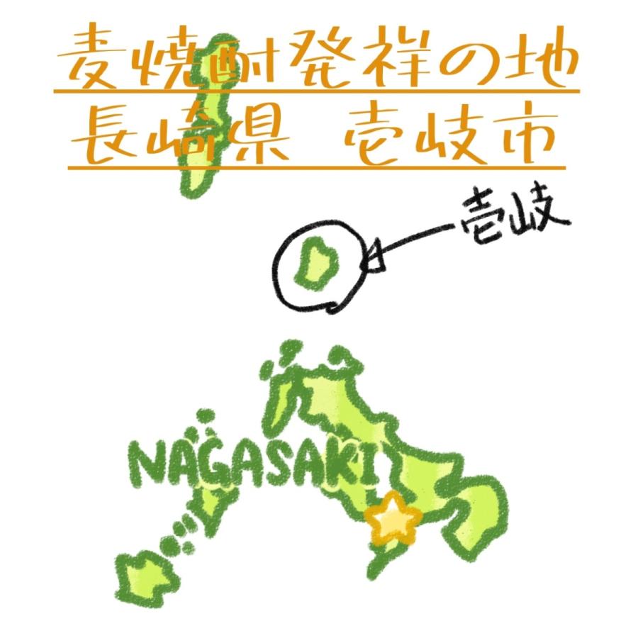 壱岐の蔵酒造 麦焼酎 壱岐焼酎 無一物 42度 原酒 シェリー樽熟成 古酒