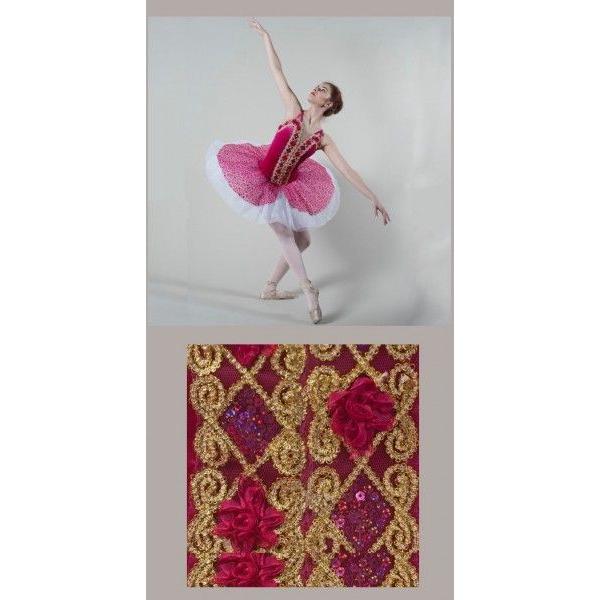 正規品 バレエ衣装 チュチュ 大人用 子供用 舞台衣装 サイズ製作可 8 格安即決 Www Publimotos Com