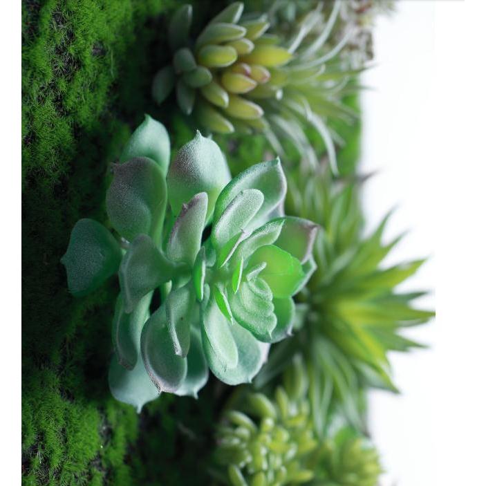 壁飾り 観葉植物 お花壁飾り 壁掛けインテリア ウォールディスプレイ フェイクグリーン 光触媒 壁面飾り k48の画像