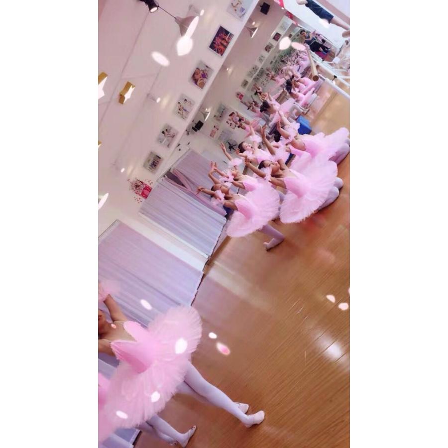 高評価続出！ バレエ衣装 チュチュ 大人用 子供用舞台衣装 サイズ製作可 【OCQ2289295463】(82663円)