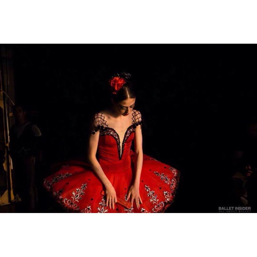 バレエ衣装 チュチュ 大人用 子供用舞台衣装 サイズ製作可(85725円)