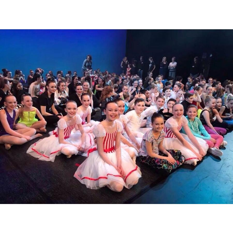 バレエ衣装 チュチュ 大人用 子供用舞台衣装 サイズ製作可