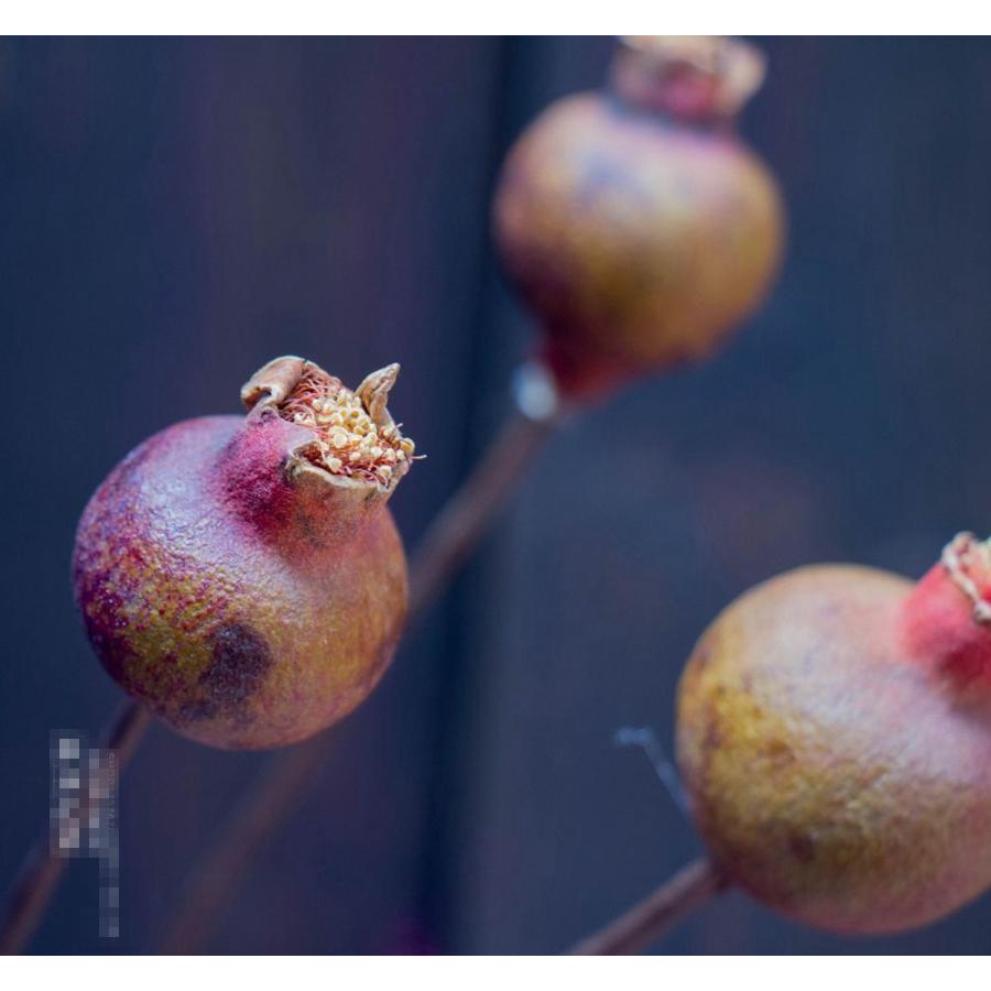 ドライフラワー ザクロの花 置物 オブジェ インテリア 雑貨 置き物