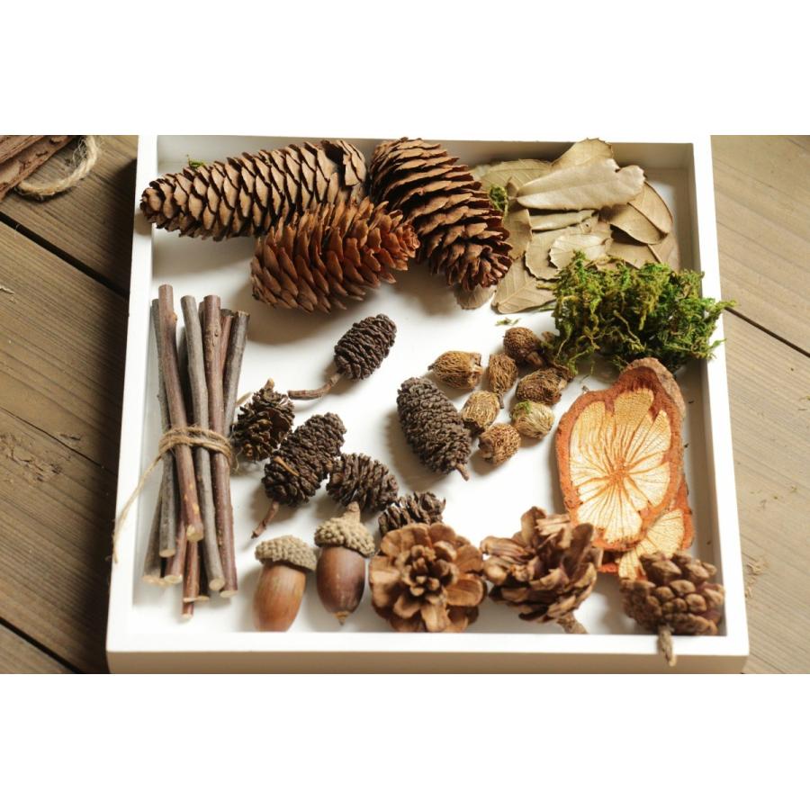 自然の小物 まつぼっくり どんぐり オブジェ インテリア 雑貨 置き物