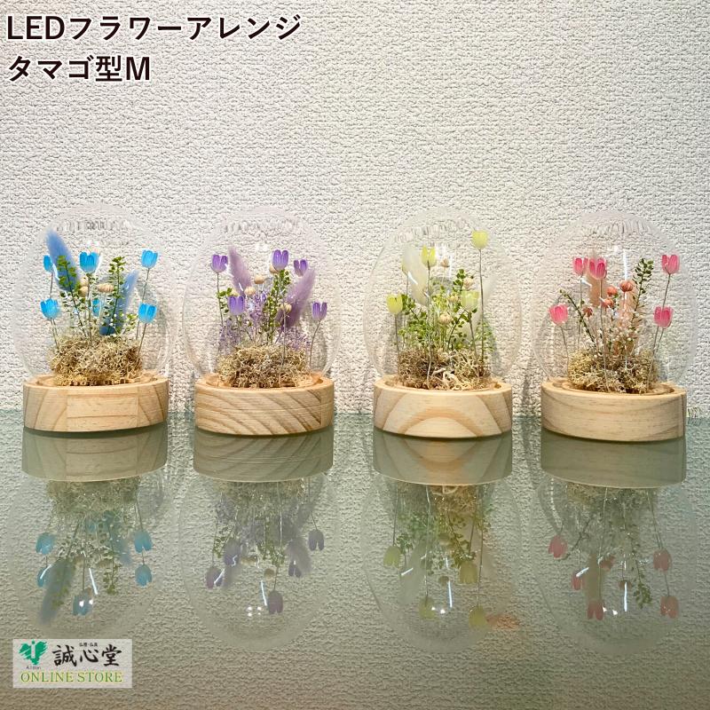 LEDライト フラワーアレンジ タマゴ型 ガラスドーム ドライフラワー