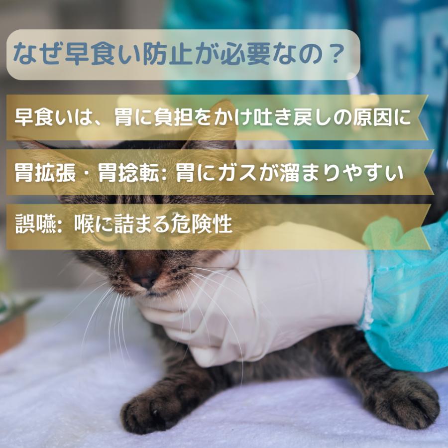 スローフィーダー ダイエット グッズ ペット 犬 猫 用 の 早食い 防止 ボウル 食器 お 皿 陶器 エサ フード ボール 餌 入れ 器 | ブランド登録なし | 01