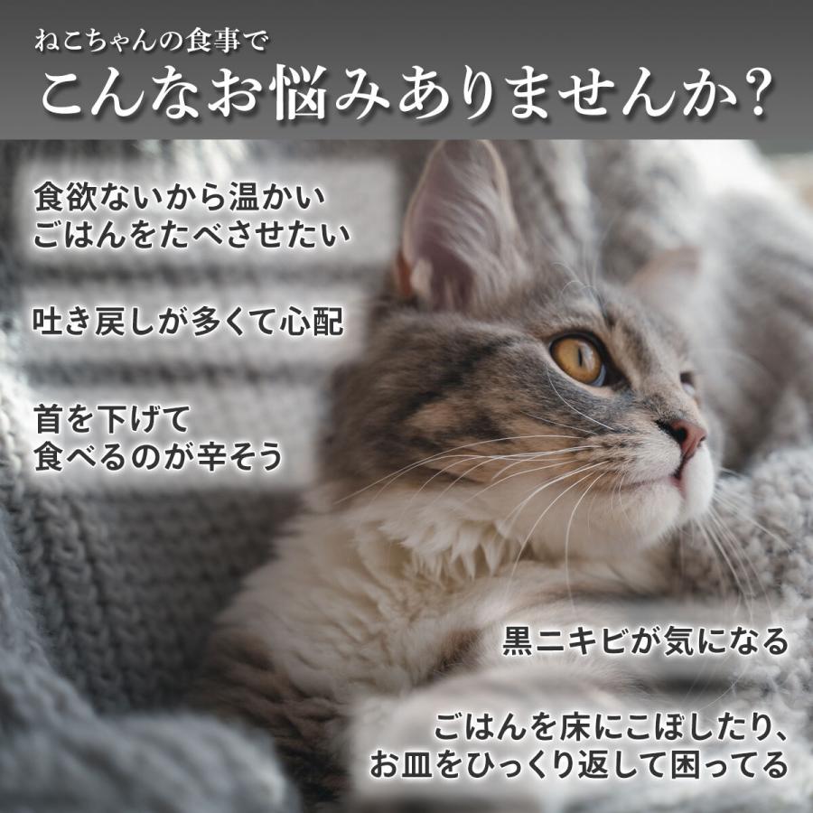 猫 食器 犬  餌 入れ 台 ペット 用 の お 皿「全品2個で5%オフ」フードボウル  陶器 食べやすい 斜め ご飯 容器｜seisindou｜02