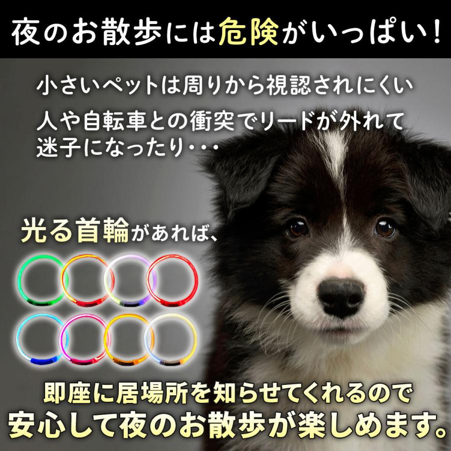 犬 首輪 光る 首輪 の 大型 おしゃれ 猫 用「2個で5％オフ」 散歩 ライト 小型 中型 柴 ペット レインボー 子｜seisindou｜10