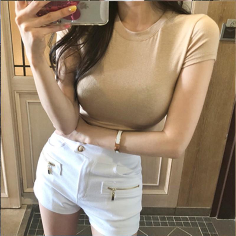 丸襟 Tシャツ レディース 無地 薄手 タイトスタイル ファッション