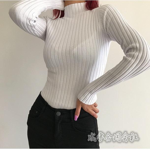 プチハイネック ニットトップス レディース プルオーバー 長袖 ボディ