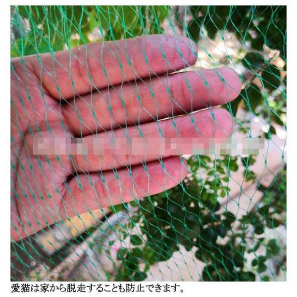防鳥 果樹栽培 長さ3/5/6/10/12/15m 伸縮性ある ネット 農業 網 鳥よけ