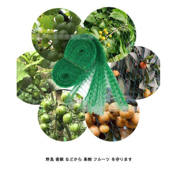 防鳥 果樹栽培 長さ3/5/6/10/12/15m 伸縮性ある ネット 農業 網 鳥よけ