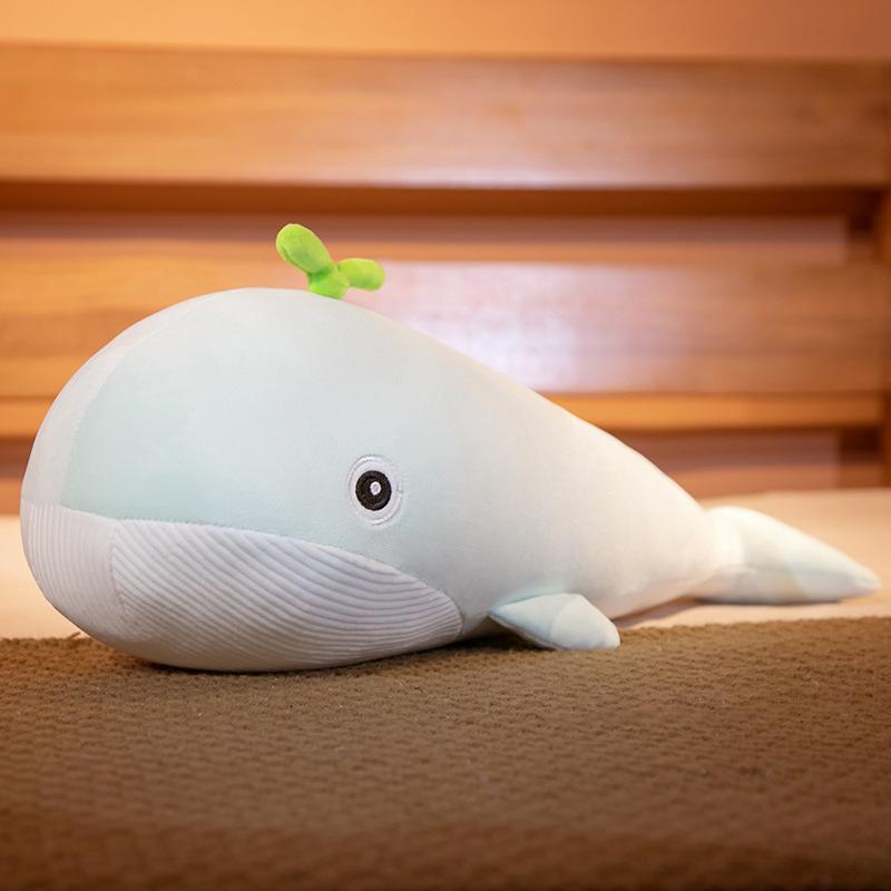 しらす隊 キャンペーン当選品 特大 BIG 抱き枕 ぬいぐるみ 懸賞 景品 クジラ ぬいぐるみ 抱き枕 鯨 30cm 40cm だき枕 海洋動物 置物 動物