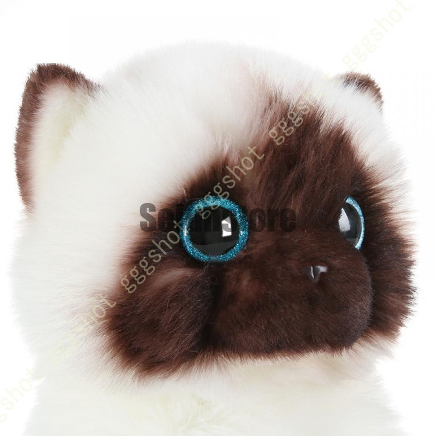 可愛い猫のぬいぐるみ 在庫あり 猫のぬいぐるみ プレミアムキティ クロネコ 53080