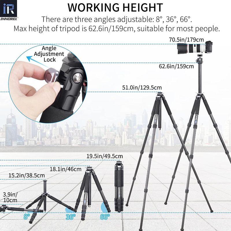 46cm、19.5cmセット 犬の服 犬 服 ワンピース 袖なし 犬服 春服 夏服 秋服 ドッグ