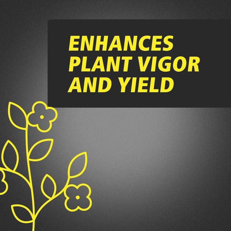 : GH RapidStart 水耕栽培肥料 (1L) DIY・工具・ガーデン General Hydroponics Root Rapid Start 発根促進剤 水耕栽培用 Enhance (500ml) Tree