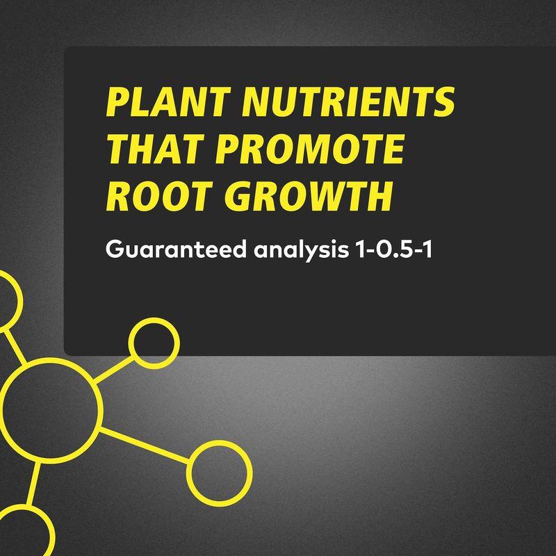 : GH RapidStart 水耕栽培肥料 (1L) DIY・工具・ガーデン General Hydroponics Root Rapid Start 発根促進剤 水耕栽培用 Enhance (500ml) Tree