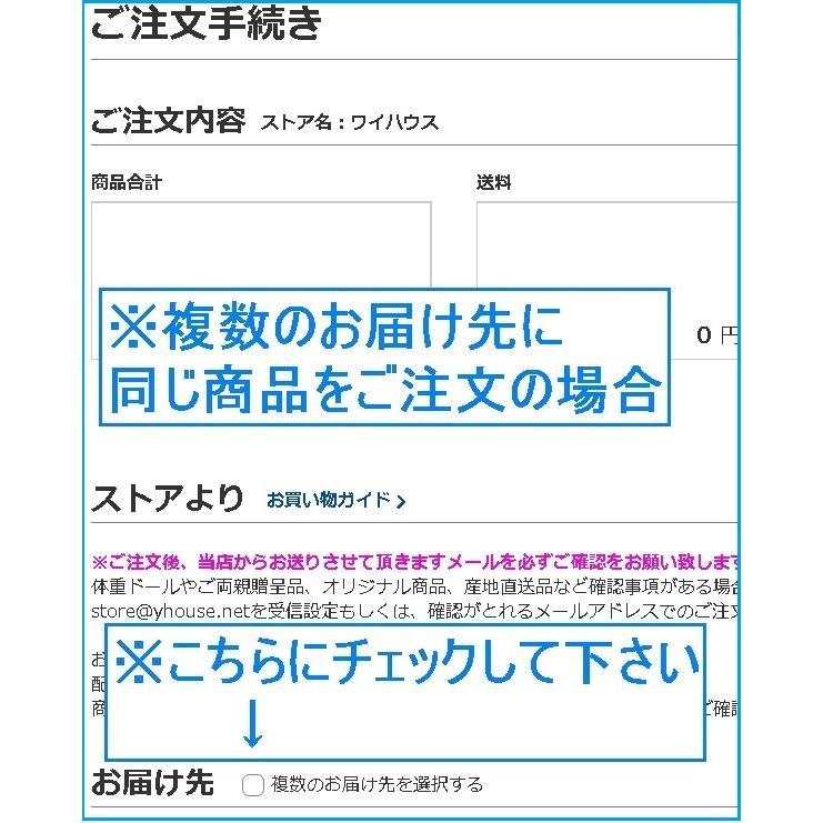 産地直送　信州ハム　軽井沢熟成ギフトセット　te027D032