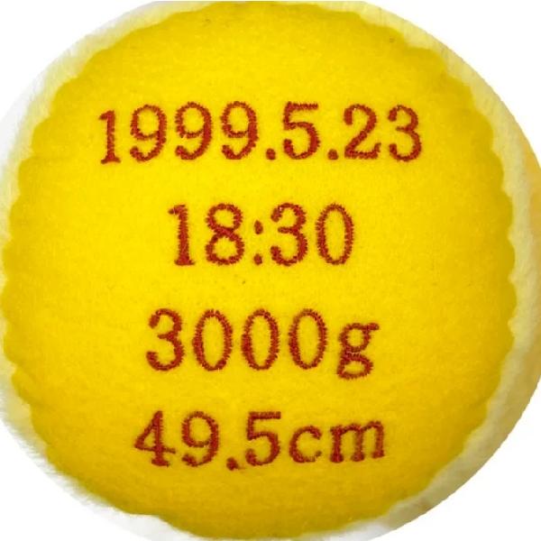 2体セット体重ウエイトドール くまのプーさん 2体 ディズニー かわいい