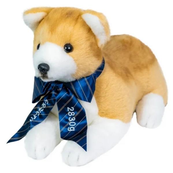 ウエイトドールプレゼント 体重ウェイトドッグ 柴犬 : ワイハウス