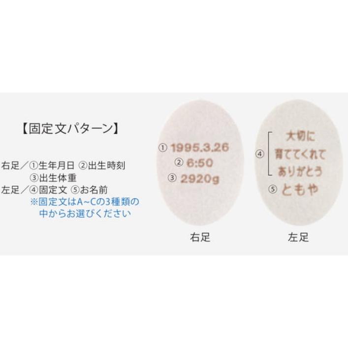 体重ウエイトベア ハローネベア カフェブラウン 固定文パターン BA150E
