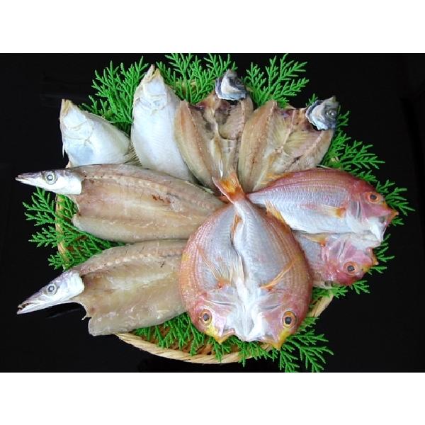 産地直送 島根岡富商店とれたて干物セット Pymr Go Th