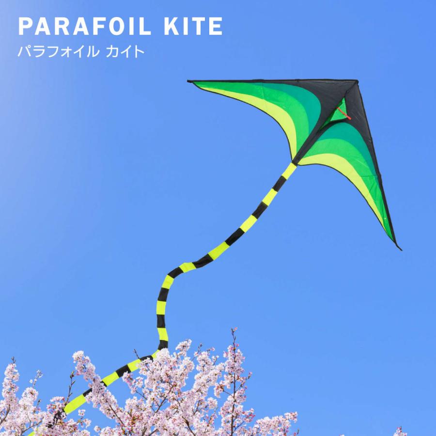 カイト 凧 長尾563cm 凧揚げ 凧上げ タコ揚げ 外遊び キッズ 子供 おもちゃ 玩具 レジャー ピクニック 公園 キャンプ 折りたたみ アウトドア 春 夏 Ktg 0001 Ktg 0001 誠信ストア 通販 Yahoo ショッピング