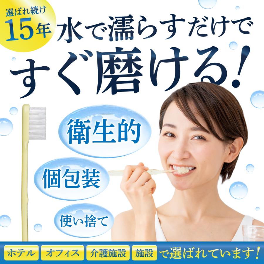 歯磨き粉 インスタントハブラシ 500本 業務用 粉付き ハミガキ粉付き
