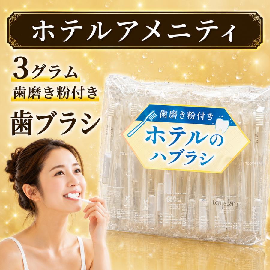 ハミガキ粉 チューブ 3g ホテル歯ブラシ 100本 小分け ハブラシ