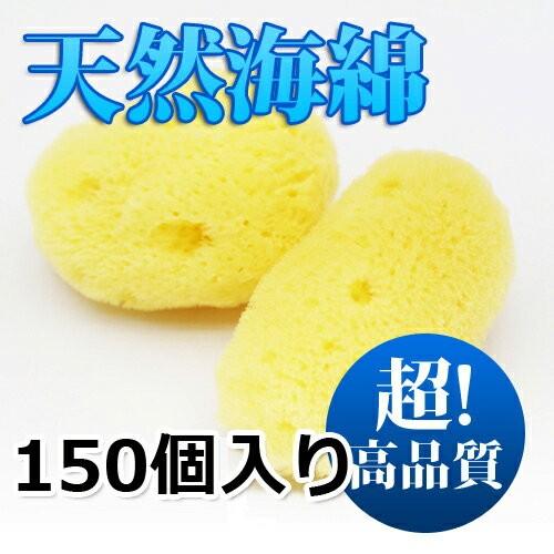 天然大海綿 クリーム色 約15cm 海綿 スポンジ 業務用 シルク サイズ5