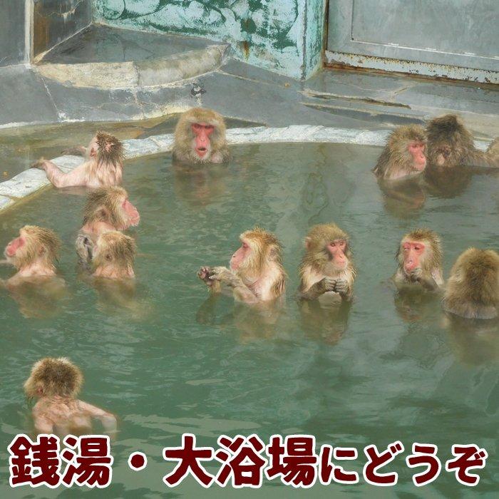 ボディーソープ 業務用 CLEAR BODY SOAP クリア 20L 詰め替え 大容量 ボディ 泡 スポーツジム 風呂 施設 銭湯 大浴場 ポイント利用