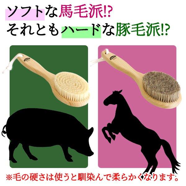 ボディブラシ 豚毛 M（ハード）ショート ウェット&ドライブラッシング