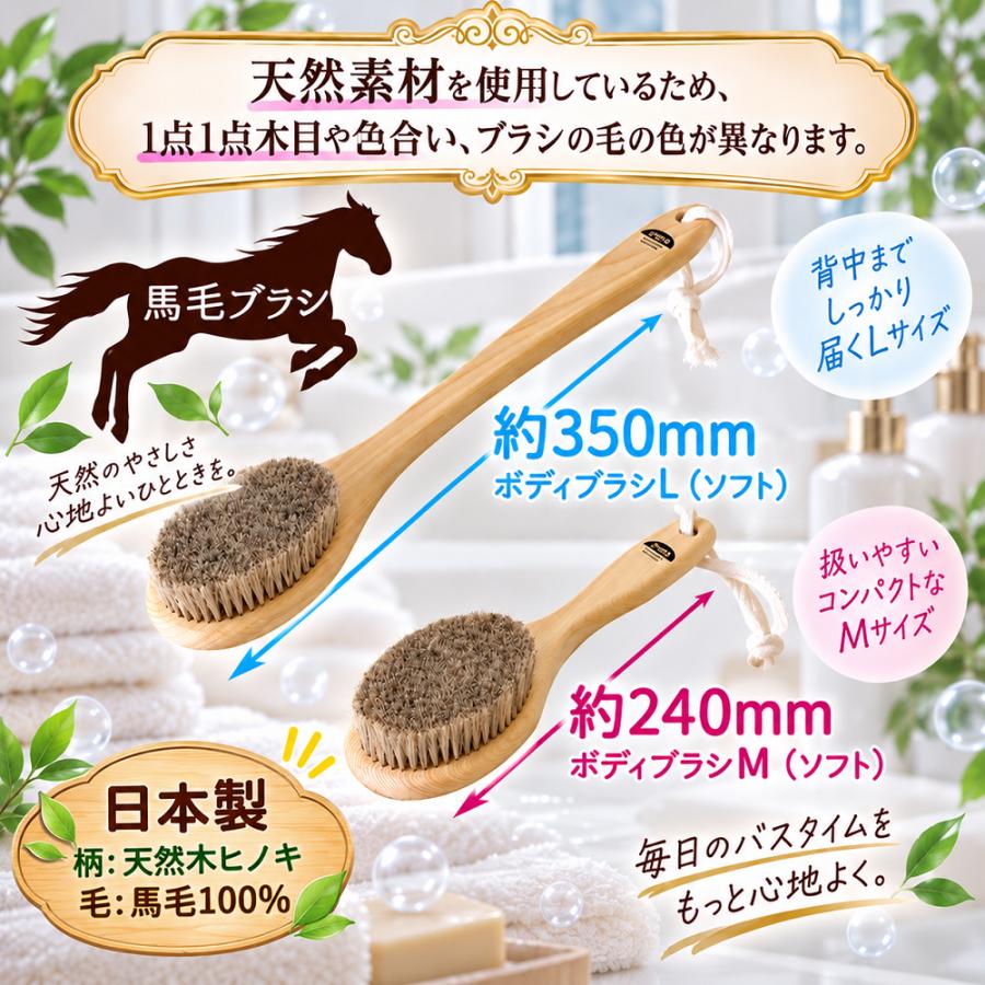 ボディブラシ 馬毛 L（ソフト）ミディアム ウェット&ドライ