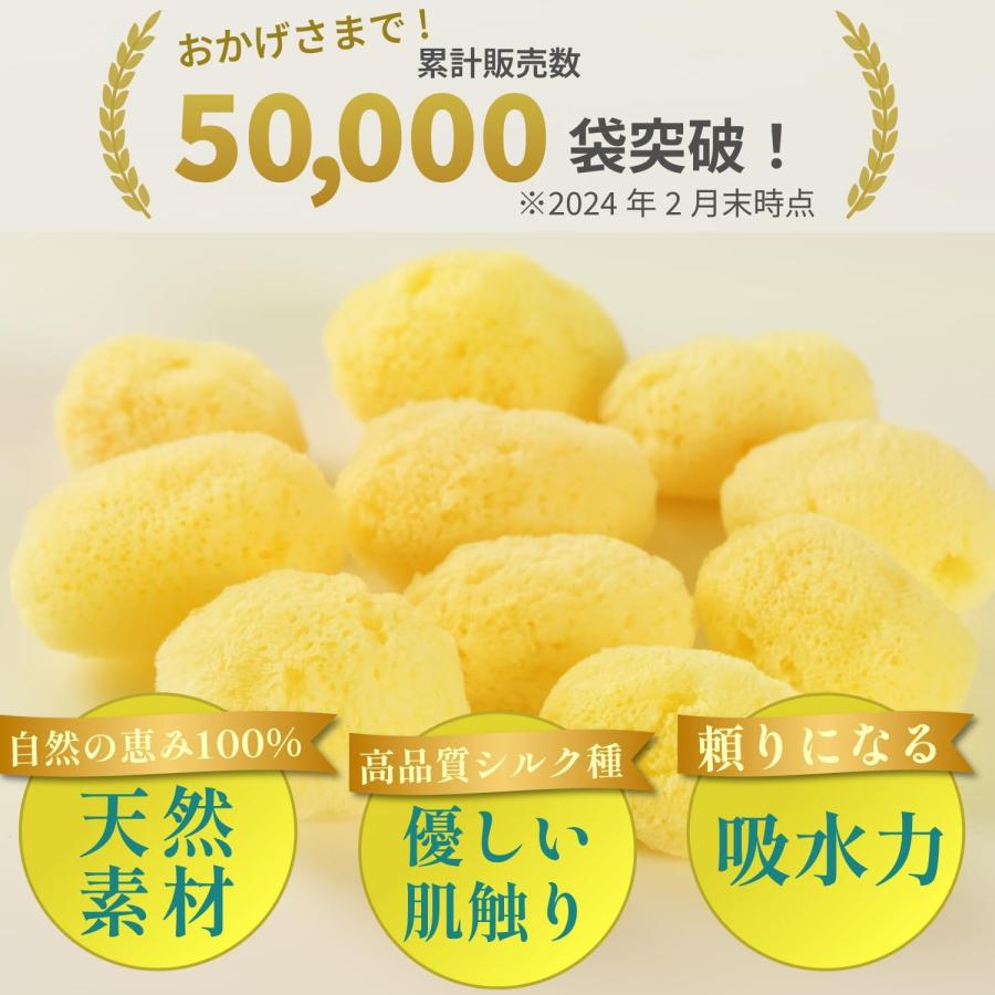海綿 スポンジ 業務用 シルク サイズ5（約5cm）1袋10個入り 業務用t 
