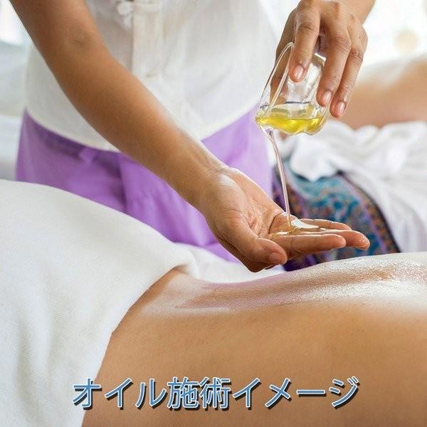 水溶性オイル ボディマッサージ FaNoil スタンダード 5L 業務用 ノイル