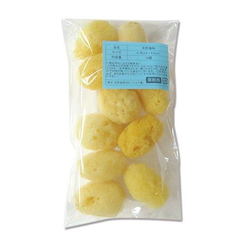 海綿スポンジ　世界最大？ 海綿 スポンジ 業務用 シルク サイズ4（約4cm前後）SSサイズ 1袋10個