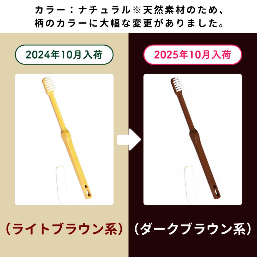 ホテル 歯ブラシ 業務用 バイオマス 竹粉35%配合 ハミガキ粉チューブ