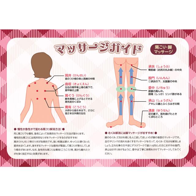 電動マッサージャー フェアリー ターボ Fairy Turbo 正規品 ぶるぶる