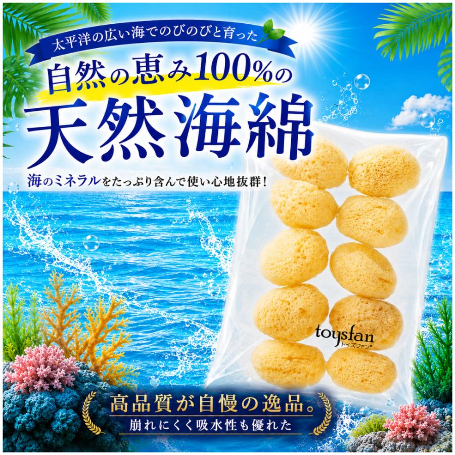 天然海綿シルク サイズ4（約4cm）100個　天然スポンジ スポンジ 天然海綿 シルク サイズ4（約4cm）1袋10個入り 吸収力
