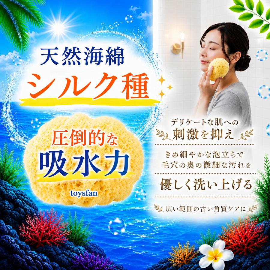 スポンジ 天然海綿 シルク サイズ4（約4cm）1袋10個入り 吸収力