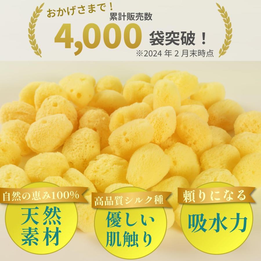 スポンジ 天然海綿 シルク サイズ4（約4cm）業務用 50個入り プロ仕様