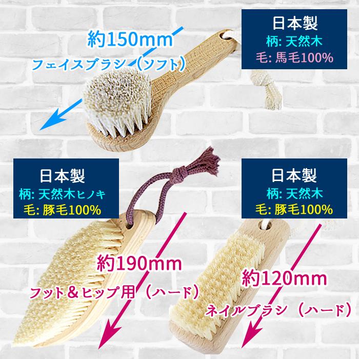 マッサージ お風呂 馬毛 ボディブラシL（ソフト）ミディアム ウェット