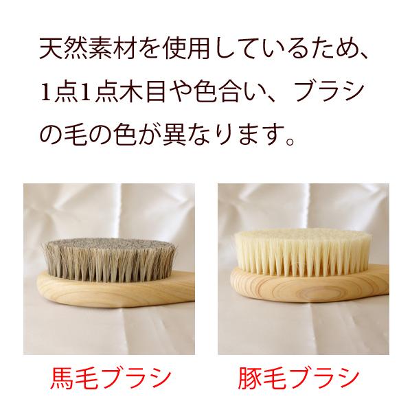 マッサージ お風呂 馬毛 ボディブラシL（ソフト）ミディアム ウェット