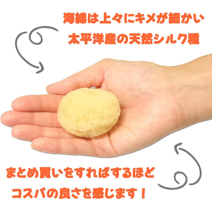スポンジ 天然海綿 シルク サイズ5（約5cm）業務用 50個入り プロ仕様