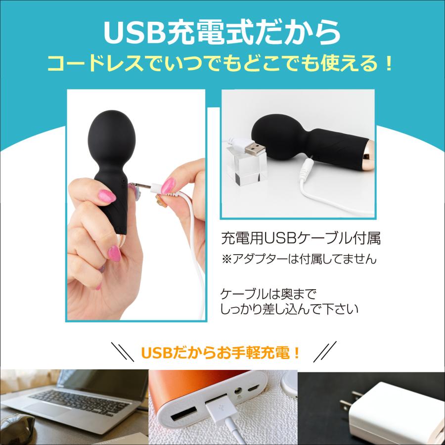 ハンディマッサージャー an アン Sサイズ 振動機器 家庭用 振動